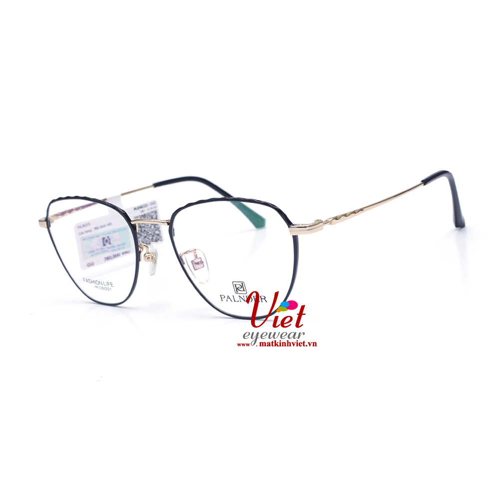 Gọng kính Palnder PLD50221 C12